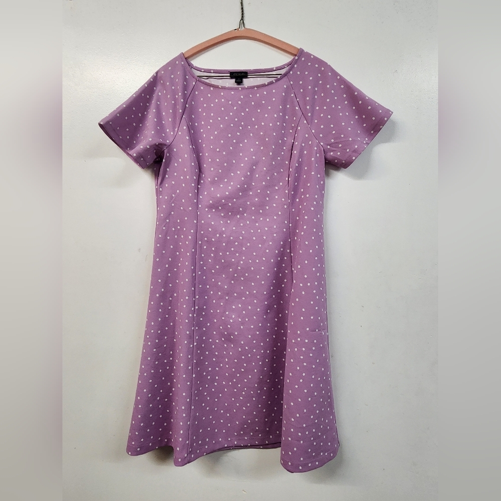 Ann Taylor Purple Mini Dress with White Dots